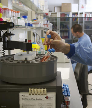 El laboratorio leonés desarrolla vacunas inactivadas contra el virus de la lengua azul.