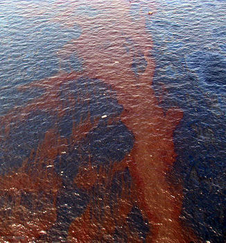 El petróleo, sobre todo el pesado, tiene moléculas difíciles de degradar, y de forma natural, puede durar años en el agua por su alta estabilidad química.