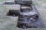 Sitio en el que se encontraron los restos del perro prehispÃ¡nico en el Delta del ParanÃ¡. Foto: gentileza investigador.