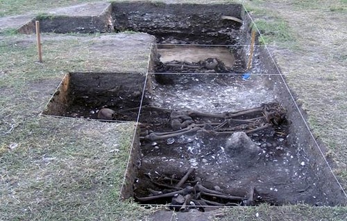 Sitio en el que se encontraron los restos del perro prehispánico en el Delta del Paraná. Foto: gentileza investigador.