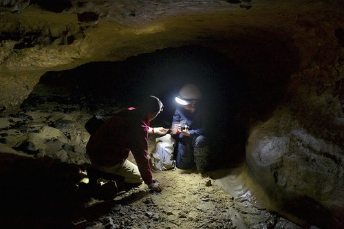 Trabajos en la cueva de El Sidrón (Asturias). Foto: Joan Costa/CSIC.