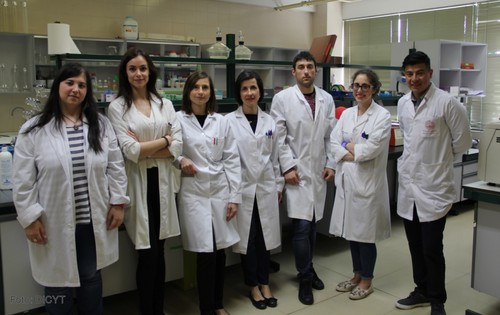 Equipo de investigación del Laboratorio de Hepatología Experimental y Vectorización de Fármacos de la USAL. 