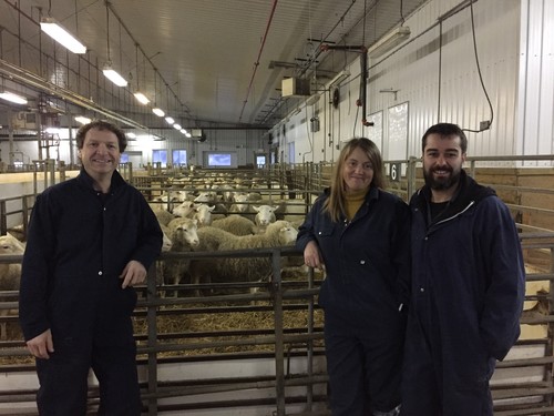 Investigadores del IGM y de la Universidad Laval (Canadá) en el Centre d’expertise en production ovine du Québec (Centro de competencia en producción ovina de Quebec; CEPOQ).