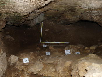 Imagen tomada por los investigadores en el interior de la Cueva de la Zarzamora.
