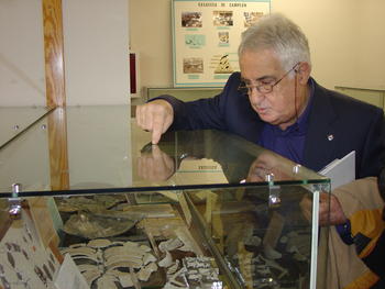 Luis Alonso Andrés, en la Sala de las Tortugas.