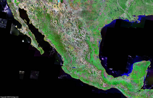Imagen satélite de los bosques mexicanos.
