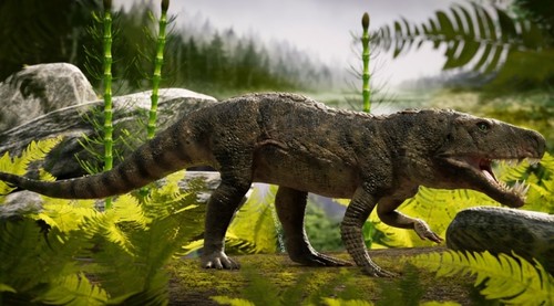 Los ornitosúquidos son los antepasados de los actuales cocodrilos y dominaron el planeta mucho antes del surgimiento de los dinosaurios. Foto: Márcio L. Castro.