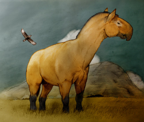 Ilustración de una macrauchenia realizada por el paleontólogo Sebastián Rozadilla.