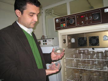 Fernando Martínez Peña enseña alguna de las muestras recogidas.
