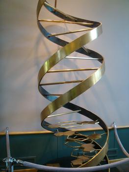 Escultura de ADN.