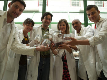 Grupo de investigación en torno a la mejora del cultivo de alubia del Instituto de Recursos Naturales (Irena) de la Universidad de León.