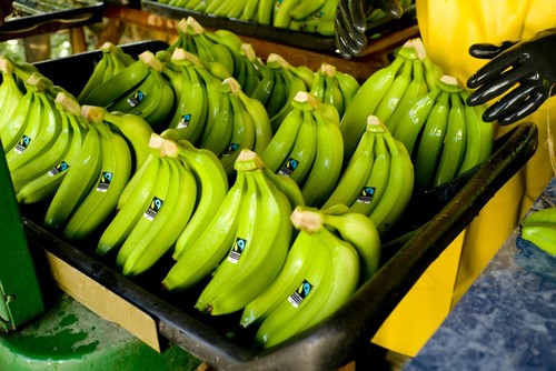Banana Fairtrade/David Bebber