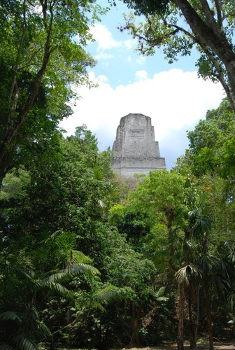 Restos de la antigua ciudad maya de Tikal/David Lentz/UC