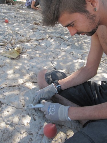 Campaña de Excavaciones Paleontológicas en la Sierra de la Demanda.