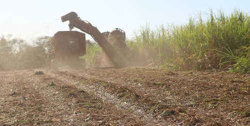El retiro de la paja del cultivo puede duplicar la necesidad de aplicación de fertilizante/Maurício Cherubin