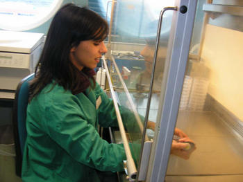 Almudena Martínez maneja células madre embrionarias en el Centro Nacional de Biotecnología de Madrid