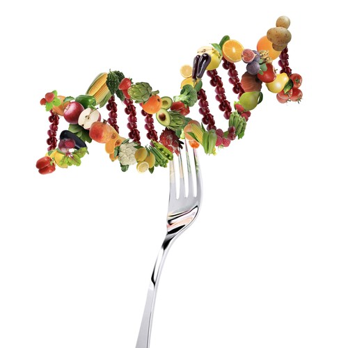 Los alimentos regulan los genes. Foto: Adobe Stock/F. Descubre.