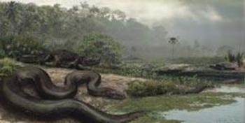 Ilustración de Nature sobre el fósil de serpiente encontrado en el Amazonas.