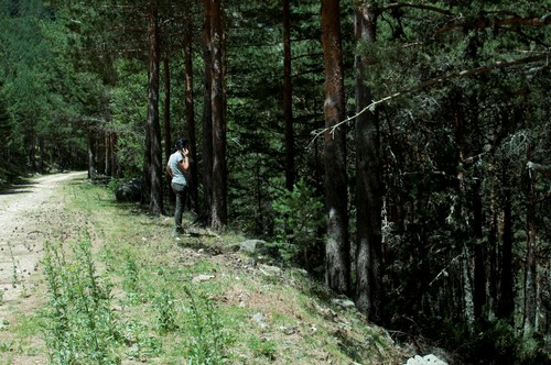 Begoña de la Fuente Martín en un pinar de la Sierra de Guadarrama/Amber Doerr