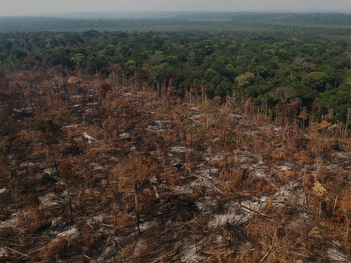 Deforestación en el Amazonas./Amazônia Real from Manaus AM, Brasil, CC BY 2.0, via Wikimedia Commons.