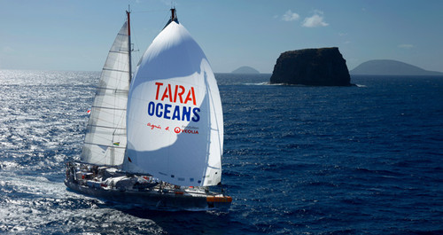 Expedición Tara Oceans. Foto: CSIC.