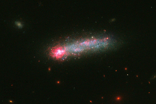 Galaxia renacuajo KISO 5639. Imagen: Telescopio Espacial Hubble (ESA/NASA).