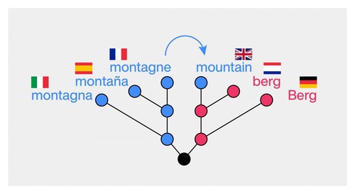 La palabra 'mountain' en inglés se tomó en préstamo del francés antiguo, junto con muchas otras más.