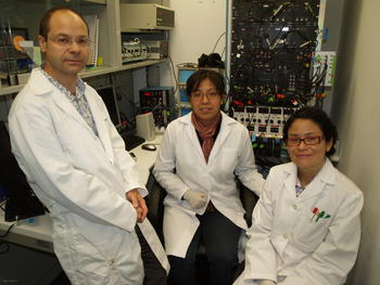 Manuel Sánchez Malmierca, en el laboratorio de ensayos acústicos junto a dos investigadoras de su equipo.