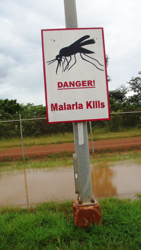 Señal que alerta de la presencia del mosquito transmisor de la malaria/Ken Doerr, Flickr