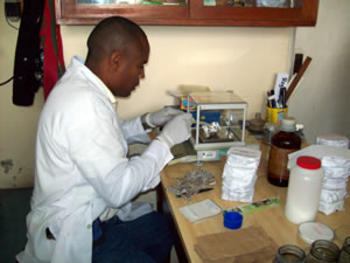 Un investigador del Iniap trabaja en la extracción de colorante del ataco. Foto: Iniap