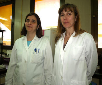 Gracia Merino (i) y Ana Isabel Álvarez de Felipe, investigadoras del departamento de Ciencias Biomédicas de la Universidad de León.
