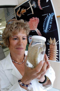 La especialista Vivianne Solís-Weiss fundó, en el Instituto de Ciencias del Mar y Limnología de la UNAM, la Colección Nacional de Poliquetos más grande del país.