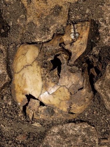El yacimiento de El Portalón de Cueva Mayor en la Sierra de Atapuerca (Burgos) contiene restos humanos que han hecho posible la reconstrucción de la prehistoria biomolecular de la Península Ibérica a lo largo de 4.000 años/E. Iriarte/UBU