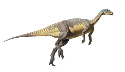 Reconstrucción de Eousdryosaurus, por Raúl Martín.