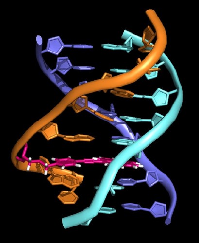 Estructura de una hélice triple de ADN con la molécula TINA intercalada. / IQF.