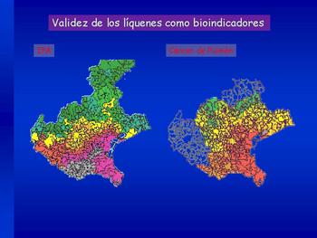 Mapa que correlaciona las zonas más contaminadas según el estudio de líquenes (rojo) y la prevalencia de cáncer de pulmón (rojo)