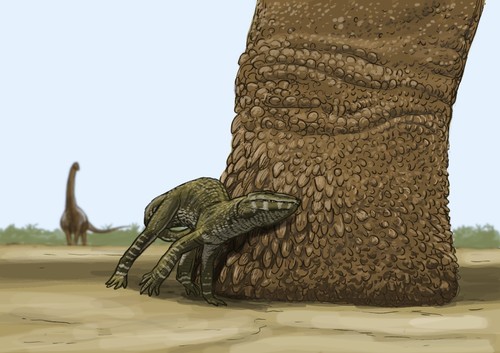 Pata de un saurópodo junto a un pequeño cocodrilo del género Araripesuchus. Crédito: Joschua Knuppe.