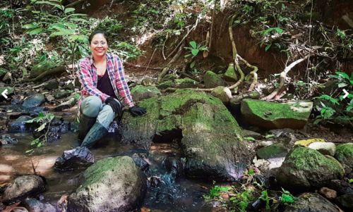  Una de las autoras de la publicación, Diana Pérez-Lara, sentada sobre uno de los fósiles de manglar encontrados. Crédito: Víctor Vásquez, STRI. Durante la recolección de las muestras de fósiles. Crédito: Víctor Vásquez, STRI.
