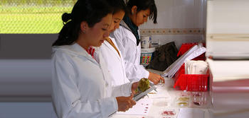 Lucía Vásquez durante la realización de ensayos en los laboratorios de la PUCE-SI.