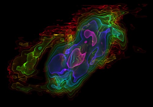 Visión tridimensional del gas expulsado de NGC 253 visto por ALMA. Crédito: ALMA (ESO/NAOJ/NRAO)/Erik Rosolowsky