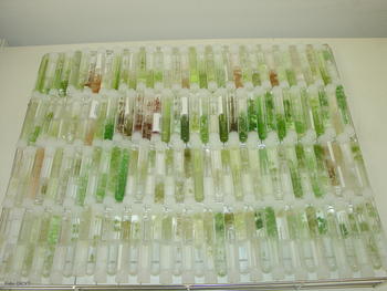Muestras de microalgas recopiladas por Biomar en distintos mares del mundo.