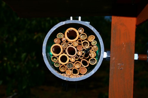 Trampa nido usada en la investigación. Foto: Natalia Rosas.