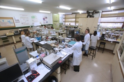 Equipo de UVasens trabajando en su laboratorio/UVa