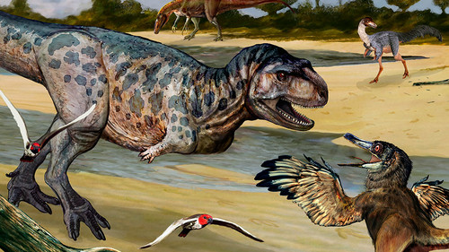 Elemgasem nubilus se contaba dentro de los principales grupos de dinosaurios depredadores. Créditos: Abel Germán Montes.