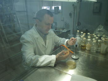 Alberto Sola, investigador del Instituto de Biotecnología de León (Inbiotec).