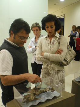 El director del Museo de la Ciencia, José Antonio Gil Verona, y la concejal de Cultura, Mercedes Cantalapiedra, observan uno de los ejemplares de la muestra. 
