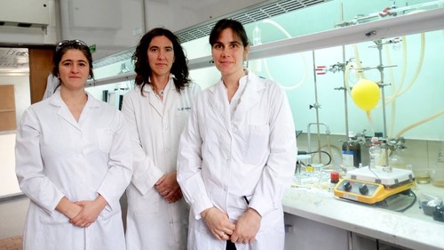 Lucía Gandolfi Donadío, Julieta Comin and Eleonora Elhalem. Photos: CONICET Photography.
