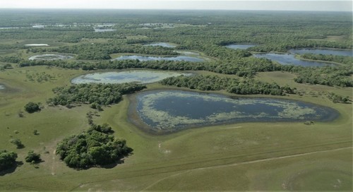 El Pantanal./ Mario Luis Assine/Unesp.