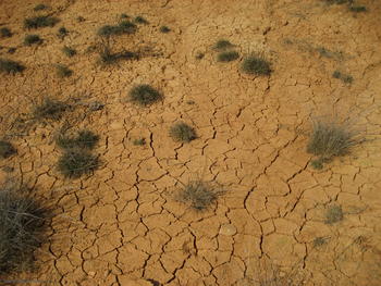 Fotografía de un suelo seco.