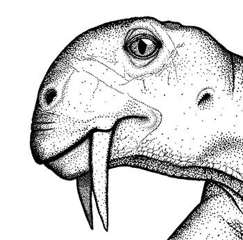 Interpretación artística de la cabeza de un Tiarajudens eccentricus exhibiendo sus grandes dientes de sable. (Ilustración: Juan Carlos Cisneros)